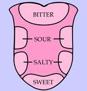 tongue taste diagram | Human body projects, My five senses, Tongue ...