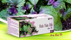 Hướng dẫn cách sử dụng trà tía tô