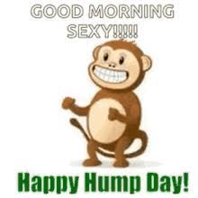 We did not find results for: Good Morning Hump Day Gifs Tenor