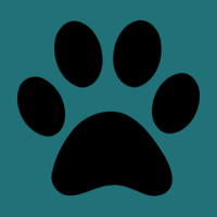 Discover what we can do for you and your pet today. Lakewood Animal Hospital Linkedin