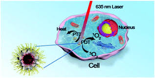 Check spelling or type a new query. The Self Assembly Of A Hybrid Photosensitizer For The Synergistically Enhanced Photodynamic Photothermal Therapy Biomaterials Science Rsc Publishing