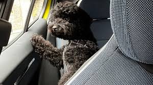 Lady cin nudes if she were here more often she would be my