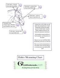 Horse Halter Size Chart Different Halter Styles Which