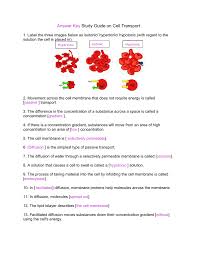Check spelling or type a new query. Answer Key To Study Guide For Transport