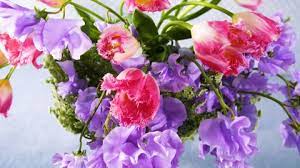 This can be beneficial in terms of dealing with the crevasses of the door and window frames. How To Keep Cut Flowers Fresh Make Flowers Last Longer