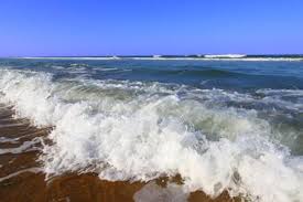 Find what you need at booking.com, the biggest travel site in the world. 17 Best Things To Do In Ormond Beach Florida