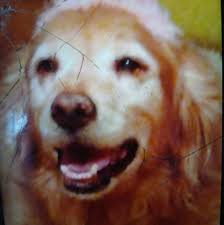 Maureen O'Hara Magazine Website