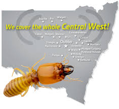 The structural pest control board (spcb) is a part of the department of consumer affairs. Pest Alert Dubbo Pest Control The Termite Control Experts