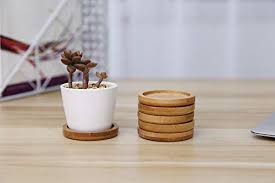 Drainage holes protect your plants from overwatering and the attached saucer helps prevent spills. T4u 2 Inch Planter Pot Bamboo Saucer Round Set Of 12 Succulent Pot Holder Drainage Tray For Most Small Ceramic Succulent Planters Holding Drainage Water Pricepulse