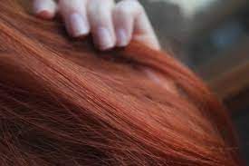 One more great merit of mehendi is that it is extremely nourishing for the hair. How To Apply Henna On Hair The Complete Process Tips And Tricks Kanbrik Com