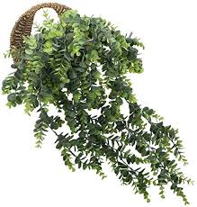 He incluso, en los viveros hay macetas con bases de altura que sirven como enredadera. Huaesin 2pcs Plantas Colgantes Artificiales Decoracion Guirnalda Verde Hoja Eucalipto Artificial Plantas Plastico Colgantes Para Maceta Pared Escritorio Balcon Jardinera Ventana Exterior E Interior Hogar Y Cocina Decoracion Del Hogar