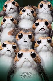 Pin On Porgs