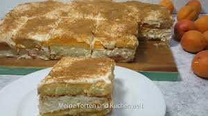 Fanta Kuchen Ohne Backen Mit Frischen Aprikosen I No Bake Cake Video Kuchen Und Torten Kuchen Ohne Backen Kuchen