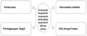 Itulah yang dapat admin bagikan terkait buku bahasa sunda kelas 9 kurikulum 2013. Lengkap Kunci Jawaban Halaman 38 39 40 44 45 46 Tema 9 Kelas 4 Sd Buku Siswa Tematik Pembelajaran 6 Pojok Edukasi