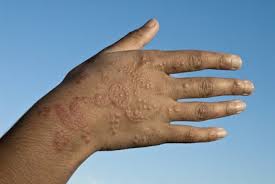 If your henna seems coarse, sift it carefully first. Temporary Tattoos Henna Mehndi And Black Henna Fact Sheet Fda