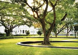 Hardscapeplaza Campus Landscape Campus Landscape Design Water Architecture