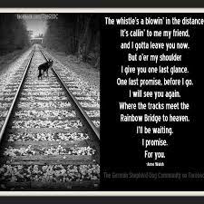 This morning, as i cradled him to calm him down, i looked into his face. 6 Poems About Dogs And Loss That Will Mend Your Heart Anguspost