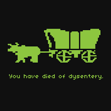 You Have Died Of Dysentery T Shirt Funny Tshirts Childhood Memories T Shirt