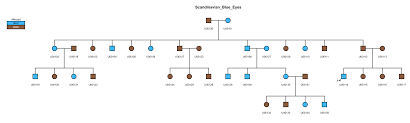 Madeline 2 0 Patterns Of Inheritance