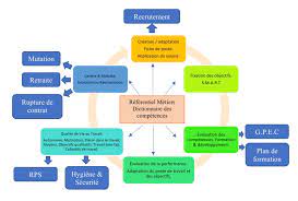 Mettre en place une gpec. Gpec Psychologue Du Travail