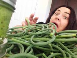 Nourishing Noms with Sam