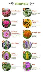 Known to attract butterflies, hummingbirds and. Top 30 Plants That Attract Pollinators