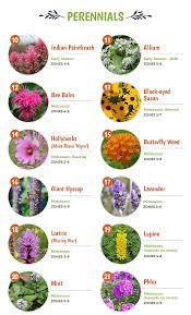 Plus, when you attract bees to your backyard, there are other fun creatures that you will see, such as hummingbirds and butterflies! Top 30 Plants That Attract Pollinators