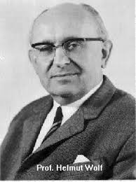 Professor Helmut Wolf