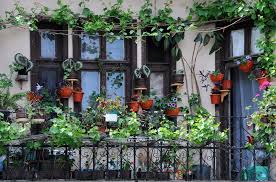 Maybe you would like to learn more about one of these? Your Guide To A Quick And Easy Balcony Garden Solluna By Kimberly Snyder