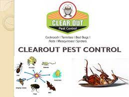 How to find the best pest control company in my area? Clear Out Pest Control Hadapsar Residential Pest Control Services In Pune Justdial