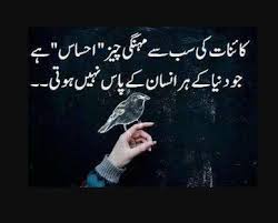 Best Quotes Life In Urdu Best quotes in urdu on life. best quotes life in urdu