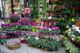 Main street flowers and gifts. Street Flower Shop With Colourful Stock Image Colourbox