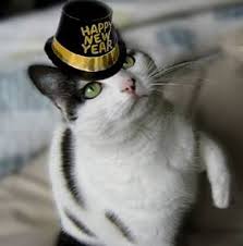 Sweet New Year S Kitty For More New Years Cats Visit Https Www Facebook Com Funholidaycats Happy New Year Dog Cats Happy Cat