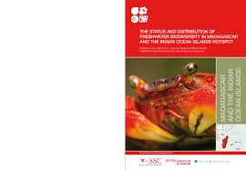 Image result for Mesanthemum glabrum