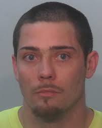 Man accused of leading police