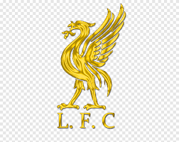 It is a very clean transparent background image and its resolution is 1071x1280 , please mark the image source when quoting it. Liverpool F C Anfield You Ll Never Walk Alone Hillsborough Disaster Poster All You Will Never Know Png Pngegg
