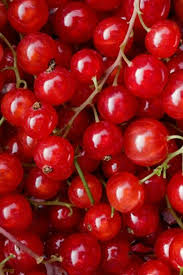 Pin By Marche De Rungis On Terciopelo Rojo Red Velvet Fruit Red Fruit Red Currant