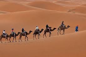 In jaisalmer, rates start from around 1,000 rupees per person for a reputable sunset camel ride into the dunes and camel safari and jeep safari are the one most desirous activity in jaisalmer no doubt. Near By Places Sightseeing Near Golden Haveli