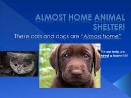 Almost home humane society was formed as the tippecanoe county humane association in 1939 and since that time has been dedicated to the care of pets in our community. This Is A Puppy At New Hope Animal Rescue In Henderson Kentucky Ppt Download