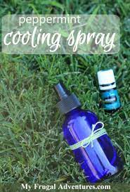 Peppermint Cooling Spray My Frugal Adventures