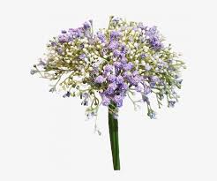 baby s breath bouquet png free transparent png download pngkey baby s breath bouquet png free