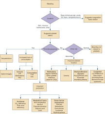 Bleeding Disorders Symptom To Diagnosis An Evidence Based