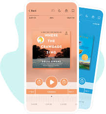 As long as you have a library card, you can use libby from any computer, phone, or tablet to browse your library's electronic catalog and check out your favorite titles. The Libby App By Overdrive Free Ebooks Audiobooks From The Library