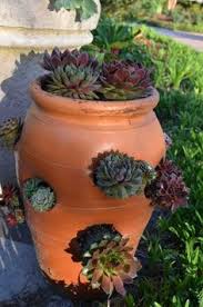 We did not find results for: Creative Ways Plant Hens Chicks Gardening Things On Pinterest Strawberry Pots Succulent Landscaping With Ornamental Grasses Succulent Type Hens And Chicks