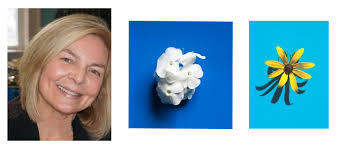 rocky neck holiday art & fine crafts festival