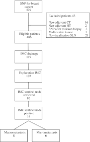 flowchart sentinel lymph node procedures snp sentinel lymph