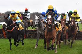 Basket regular season stream free. Goffs Uk Hit Sale Results Trevor Hemmings And Gigginstown Racehorses Sold At Doncaster Mirror Online