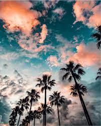 Creating aesthetically pleasing home screens is the new cool thing to do, but with so many options, it can quickly become overwhelming. Aesthetic Wallpaper Ipad Mini 1025x1280 Wallpaper Teahub Io