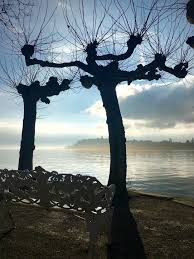 Mainau Konstanz Germany By Antje Te In 2020 Bodensee Urlaub Mainau Island Fotomotive