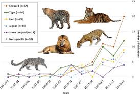 Black cats, white cats, blue cats, pointed siamese cats or unique and adorable calico cats, our cat photo galleries feature some fine examples of them all. Plos One Characterizing Conflict Between Humans And Big Cats Panthera Spp A Systematic Review Of Research Trends And Management Opportunities